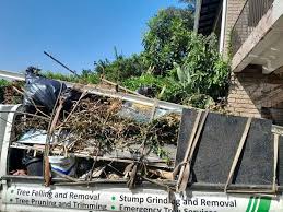 Reliable Rio Rico, AZ Junk Removal Services Solutions